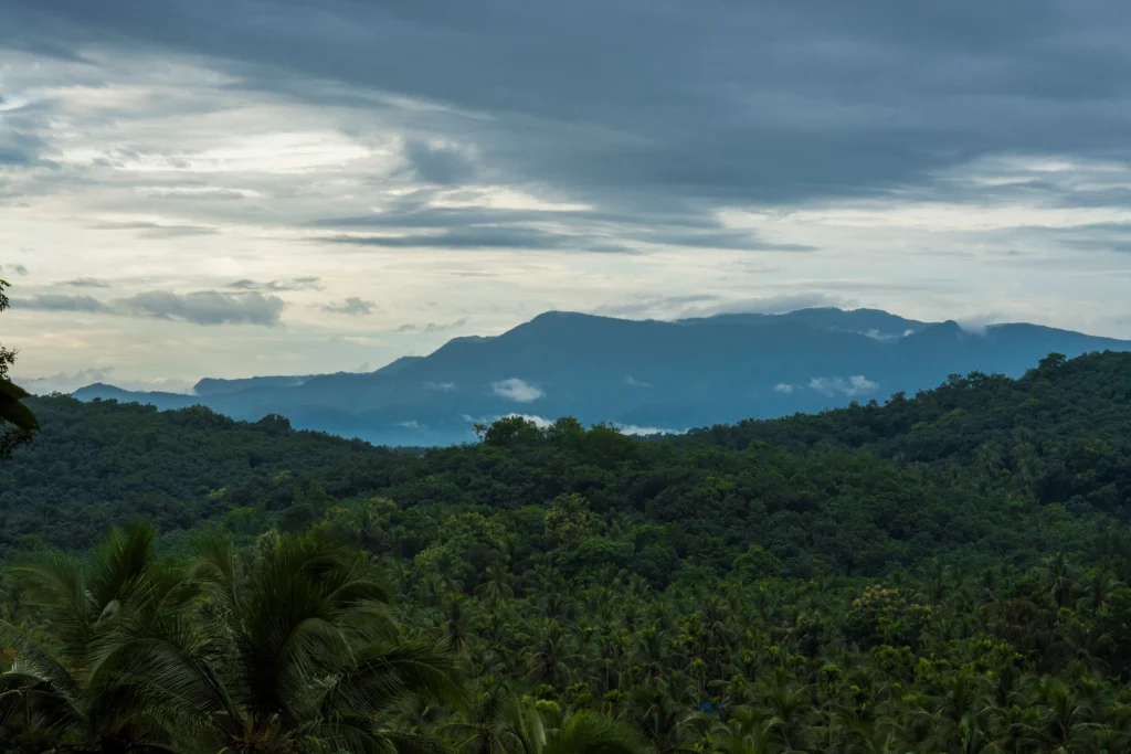 Karnataka Forests and Western Ghats